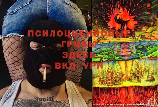 шишки Сафоново