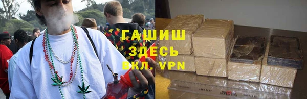 соль ск Абаза